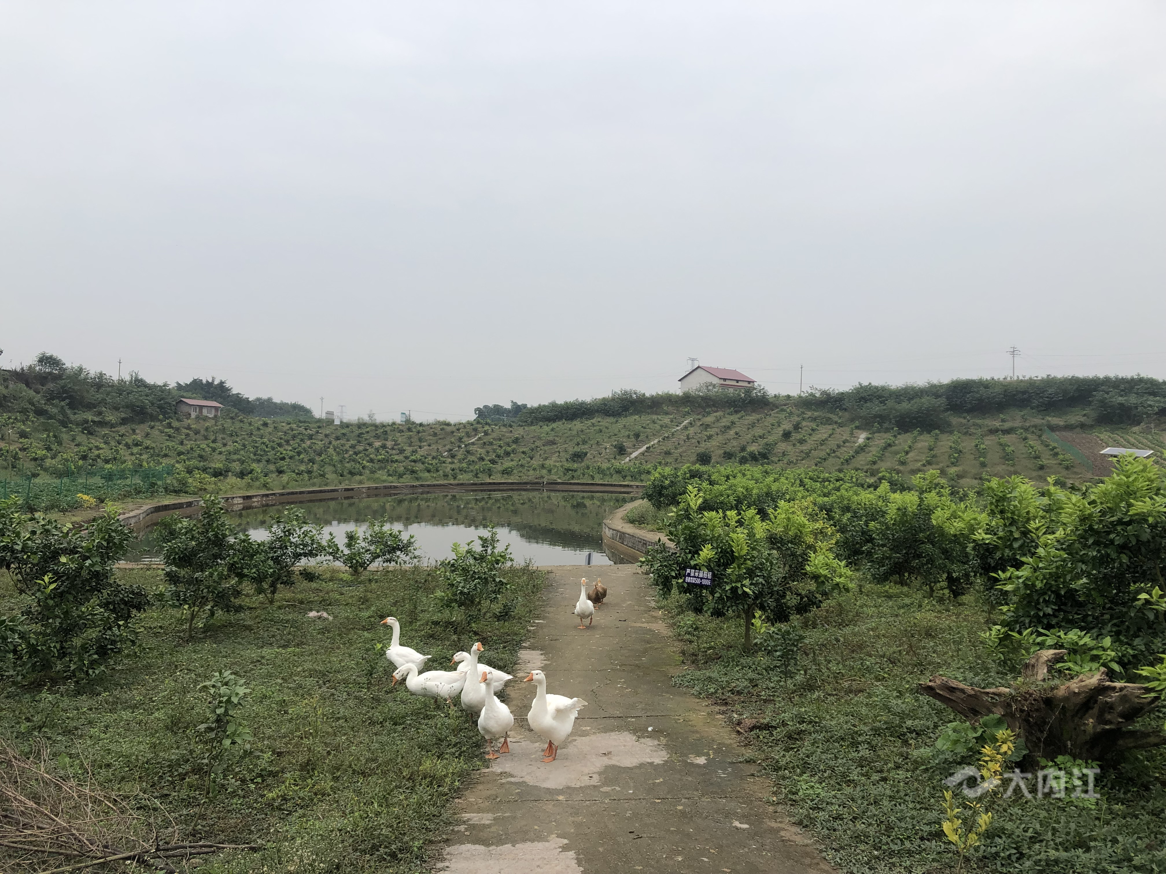 QQ圖片20201106113444.jpg