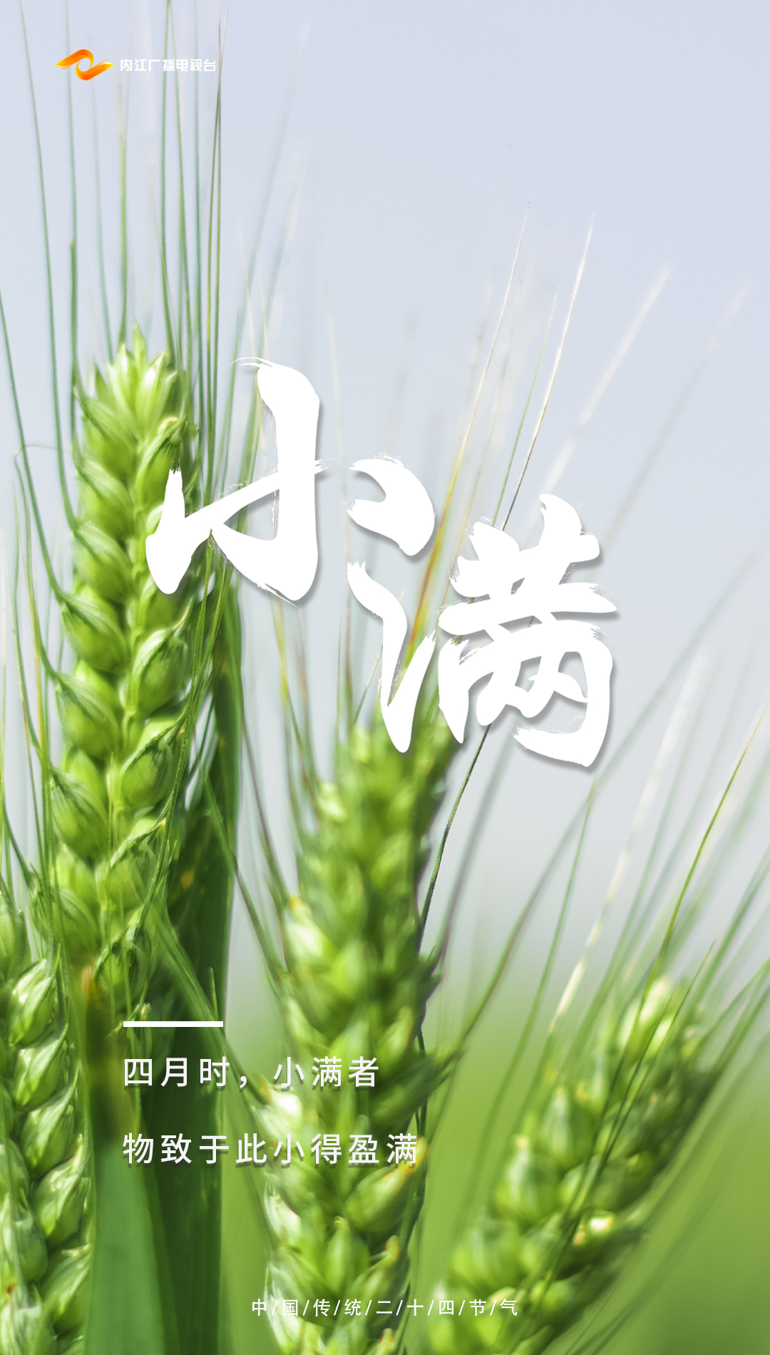 小滿1.jpg