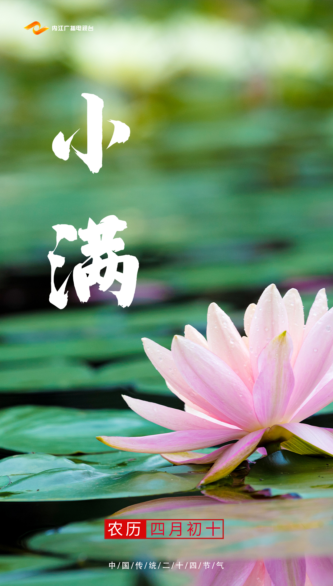 小滿2.jpg