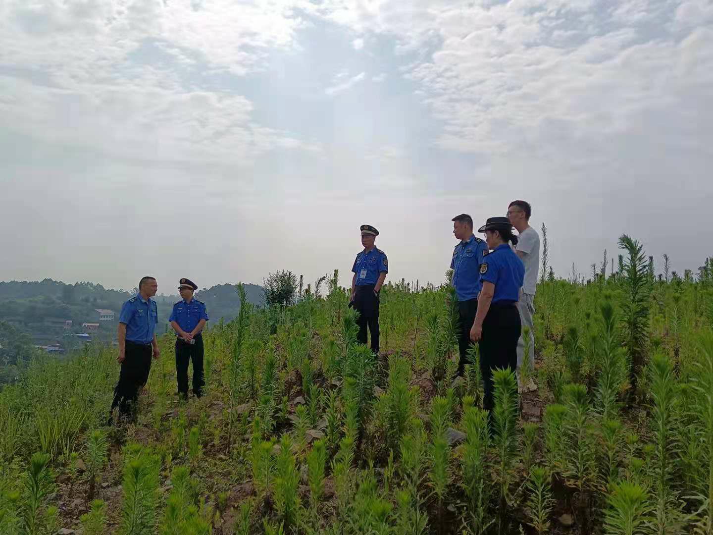 福特翼虎哪所大學(xué)2.jpg