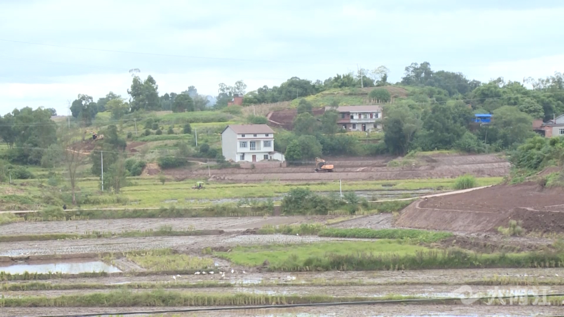 G.00_00_00_20.靜止023.jpg