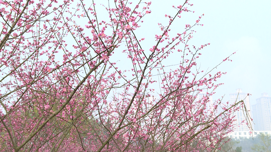 微信圖片_20220118093529.png