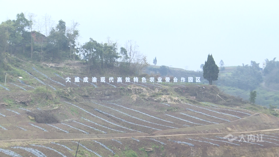 微信圖片_20220118151614.png