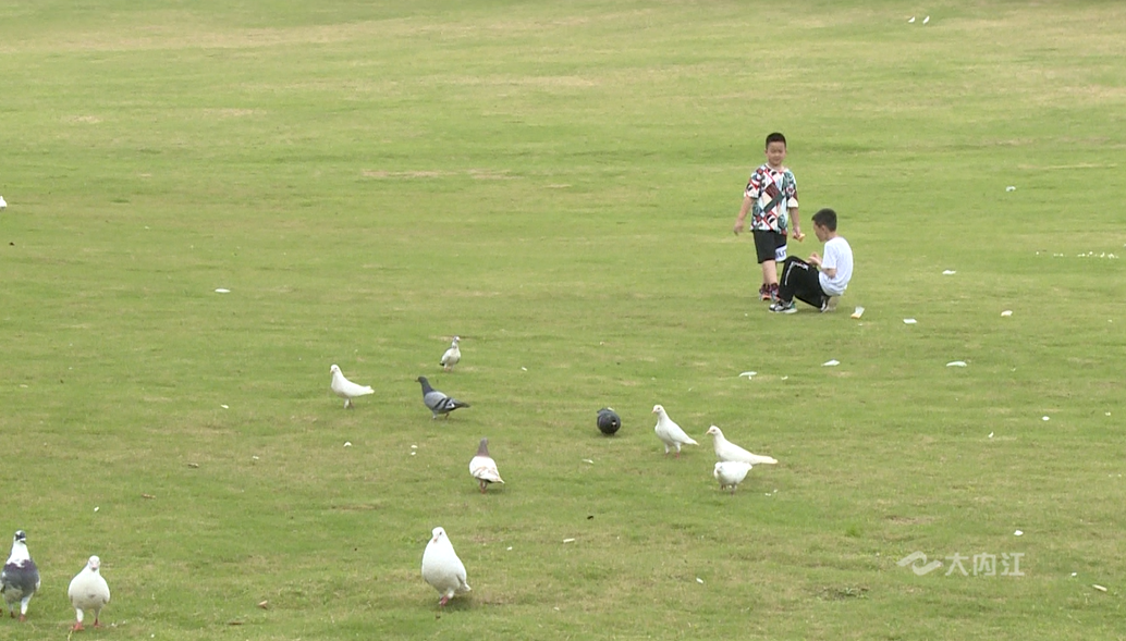 微信截圖_20220603173702.png