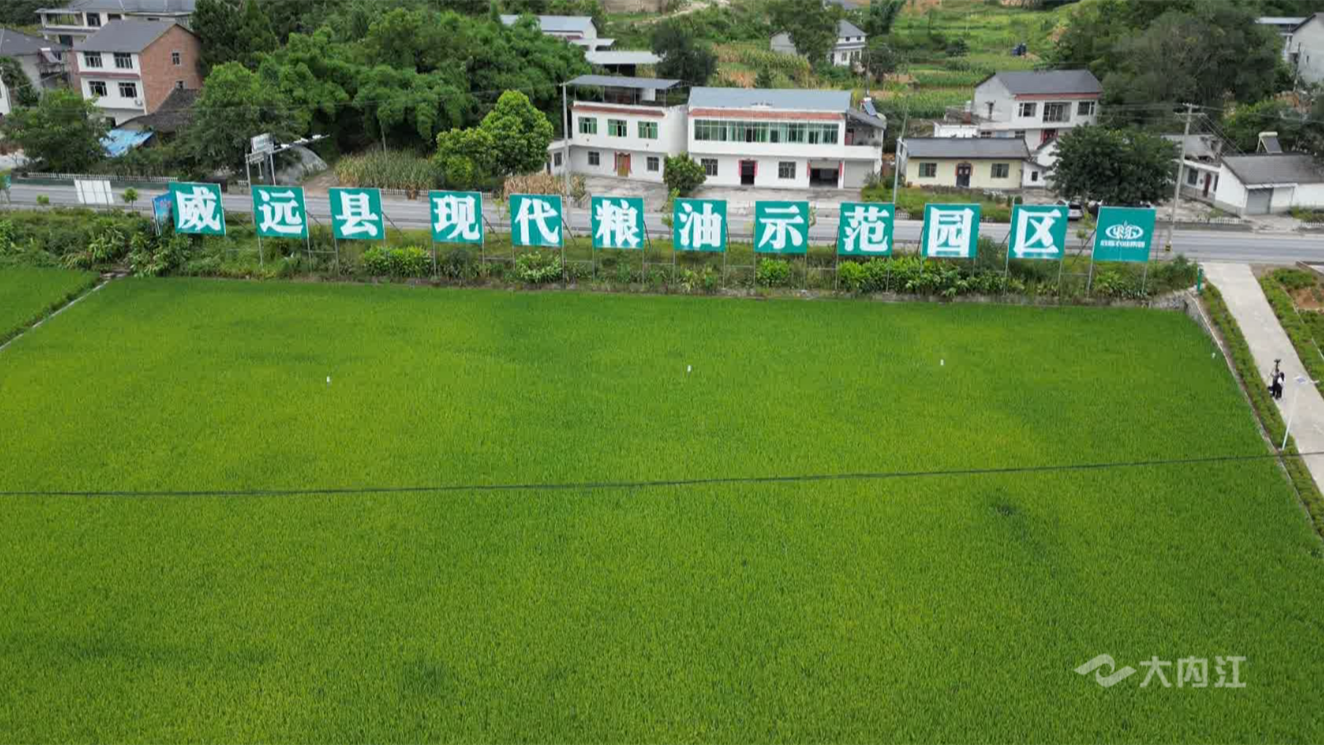 微信截圖_20220804145234.png