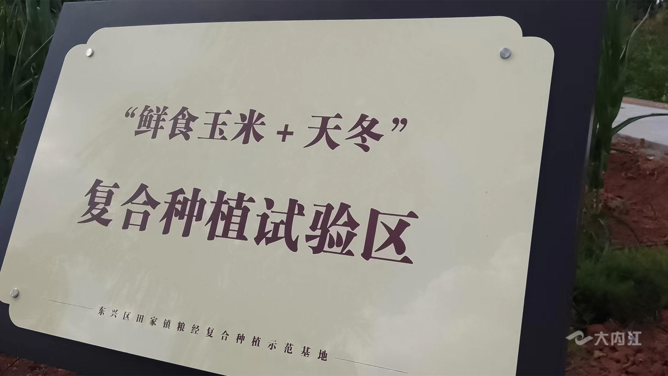 圖片7.png
