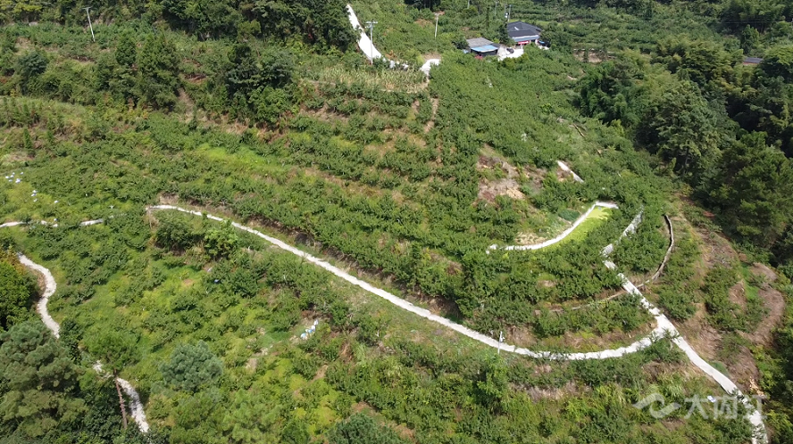 DJI_0910.00_00_00_00.靜止001.bmp
