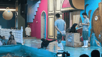 640.gif 圖片