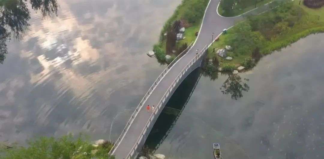 323896_1660109536106626.jpg 圖片